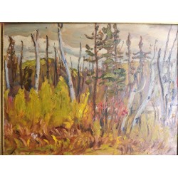 Lakeside near Combermere Ontario 1961 by AY Jackson