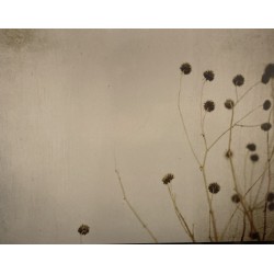 Remnants by Charlene Serdan