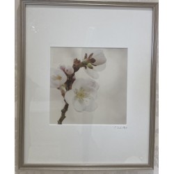 Untitled by Charlene Serdan