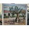 Phytolacca Dioca Street in Sartene Corsic by Roy Forster